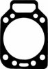 VICTOR REINZ 61-24610-10 Gasket, cylinder head